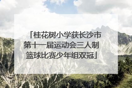 桂花树小学获长沙市第十一届运动会三人制篮球比赛少年组双冠