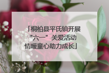 桐柏县平氏镇开展“六一”关爱活动 情暖童心助力成长