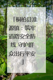桐柏县淮源镇：筑牢道路安全防线 守护群众出行平安