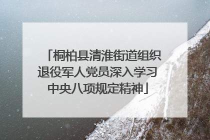 桐柏县清淮街道组织退役军人党员深入学习中央八项规定精神