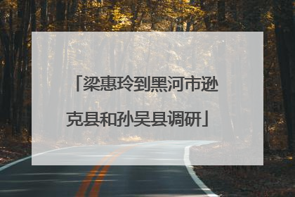 梁惠玲到黑河市逊克县和孙吴县调研