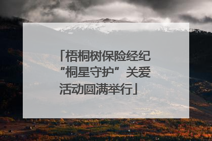 梧桐树保险经纪“桐星守护”关爱活动圆满举行