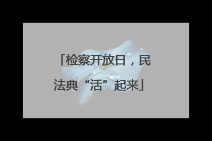检察开放日，民法典“活”起来