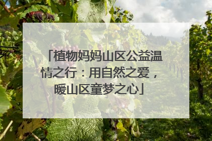 植物妈妈山区公益温情之行：用自然之爱，暖山区童梦之心