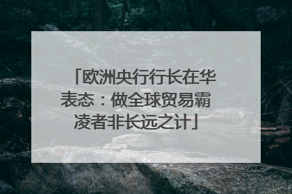 欧洲央行行长在华表态：做全球贸易霸凌者非长远之计