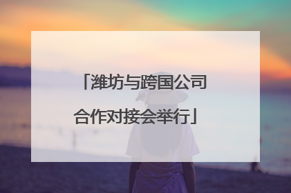 潍坊与跨国公司合作对接会举行