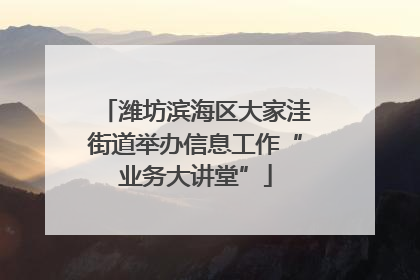 潍坊滨海区大家洼街道举办信息工作“业务大讲堂”