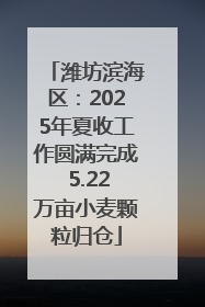 潍坊滨海区：2025年夏收工作圆满完成 5.22万亩小麦颗粒归仓