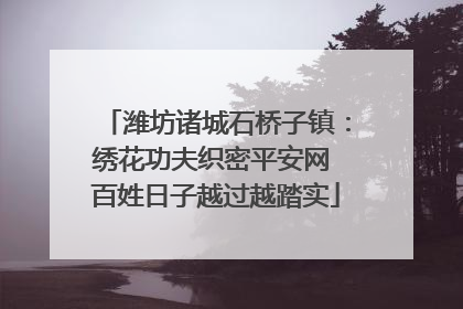 潍坊诸城石桥子镇：绣花功夫织密平安网 百姓日子越过越踏实