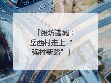 潍坊诸城：岳西村走上“强村新路”