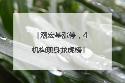 潮宏基涨停，4机构现身龙虎榜