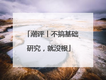 潮评丨不搞基础研究，就没根