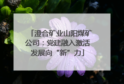 澄合矿业山阳煤矿公司：党建融入激活发展向“新”力