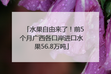水果自由来了！前5个月广西各口岸进口水果56.8万吨