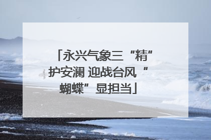 永兴气象三“精”护安澜 迎战台风“蝴蝶”显担当