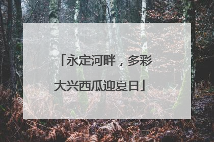永定河畔，多彩大兴西瓜迎夏日