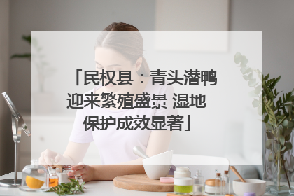 民权县：青头潜鸭迎来繁殖盛景 湿地保护成效显著