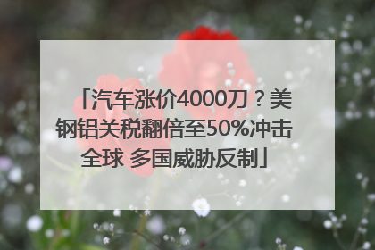 汽车涨价4000刀？美钢铝关税翻倍至50%冲击全球 多国威胁反制