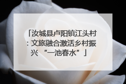 汝城县卢阳镇江头村：文旅融合激活乡村振兴 “一池春水”