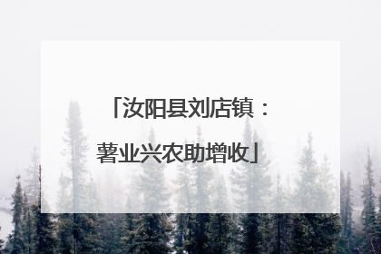 汝阳县刘店镇：薯业兴农助增收