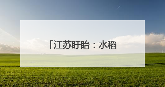 江苏盱眙：水稻插秧全面展开