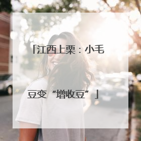 江西上栗：小毛豆变“增收豆”