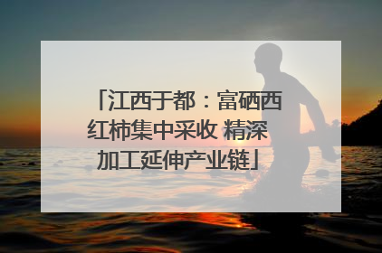江西于都：富硒西红柿集中采收 精深加工延伸产业链