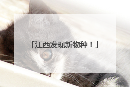 江西发现新物种！
