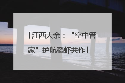 江西大余：“空中管家”护航稻虾共作