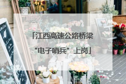 江西高速公路桥梁“电子哨兵”上岗
