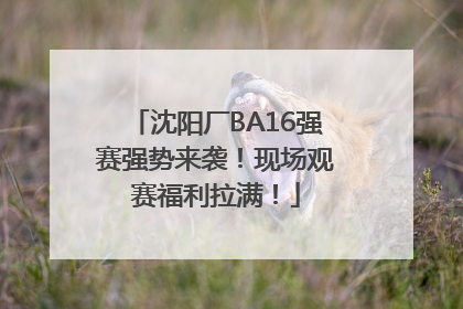 沈阳厂BA16强赛强势来袭！现场观赛福利拉满！