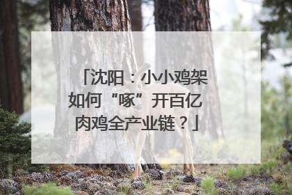 沈阳：小小鸡架如何“啄”开百亿肉鸡全产业链？
