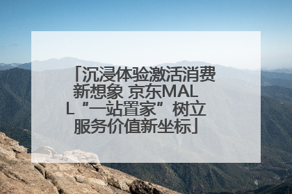 沉浸体验激活消费新想象 京东MALL“一站置家”树立服务价值新坐标
