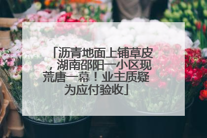 沥青地面上铺草皮，湖南邵阳一小区现荒唐一幕！业主质疑为应付验收