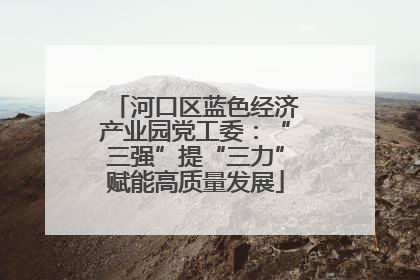 河口区蓝色经济产业园党工委：“三强”提“三力”赋能高质量发展