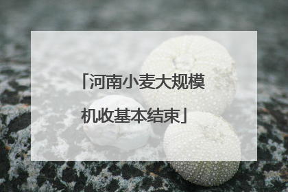 河南小麦大规模机收基本结束