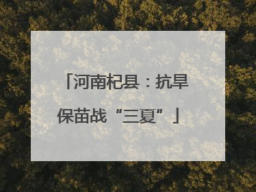 河南杞县：抗旱保苗战“三夏”
