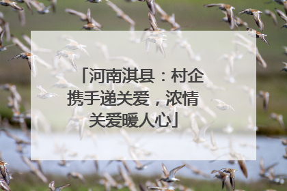 河南淇县：村企携手递关爱，浓情关爱暖人心