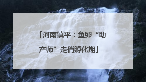 河南镇平：鱼卵“助产师”走俏孵化期