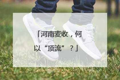 河南麦收，何以“顶流”？