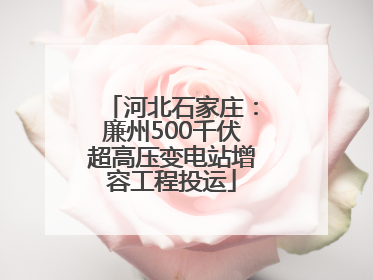 河北石家庄：廉州500千伏超高压变电站增容工程投运