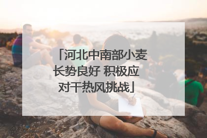 河北中南部小麦长势良好 积极应对干热风挑战