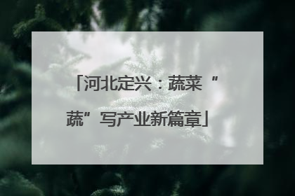 河北定兴：蔬菜“蔬”写产业新篇章