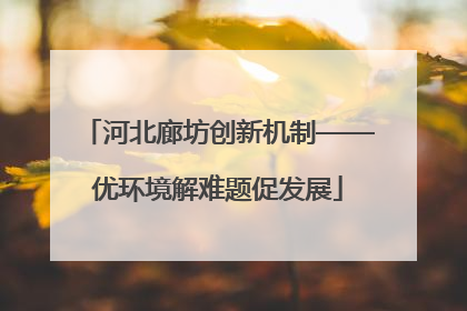 河北廊坊创新机制——优环境解难题促发展