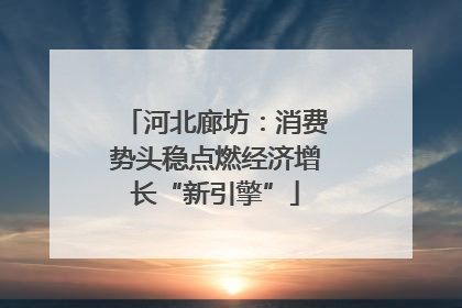 河北廊坊：消费势头稳点燃经济增长“新引擎”