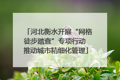 河北衡水开展“网格徒步踏查”专项行动 推动城市精细化管理