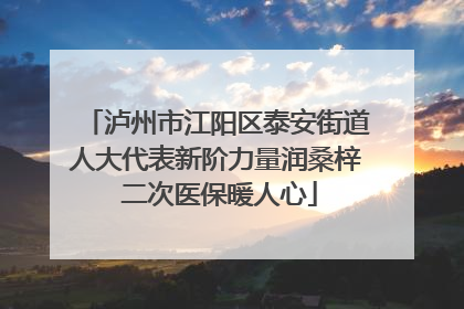 泸州市江阳区泰安街道人大代表新阶力量润桑梓 二次医保暖人心
