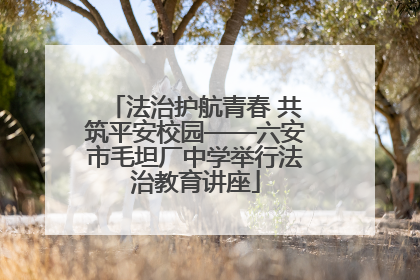 法治护航青春 共筑平安校园——六安市毛坦厂中学举行法治教育讲座