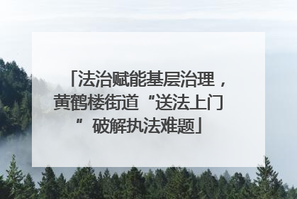 法治赋能基层治理，黄鹤楼街道“送法上门”破解执法难题