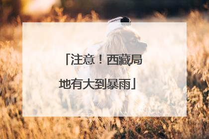 注意！西藏局地有大到暴雨